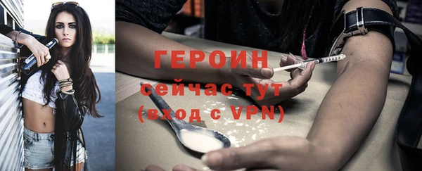 дживик Ельня