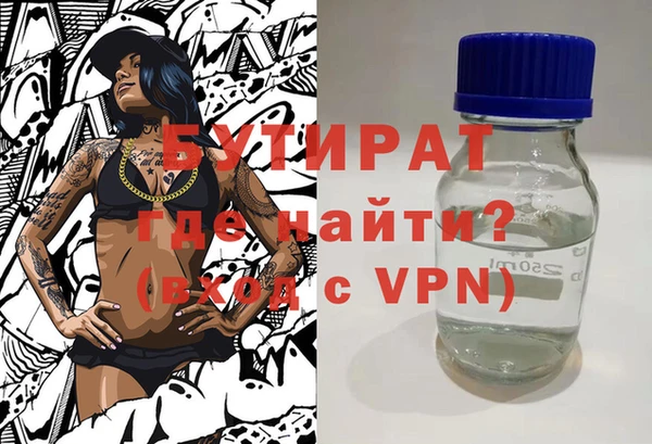 дживик Ельня