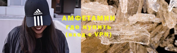 дживик Ельня