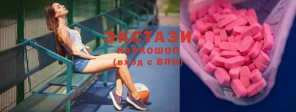 дживик Ельня