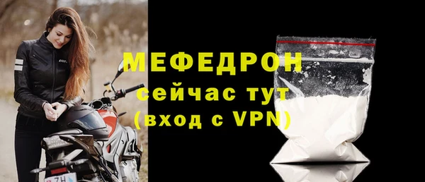 дживик Ельня