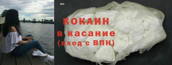 дживик Ельня