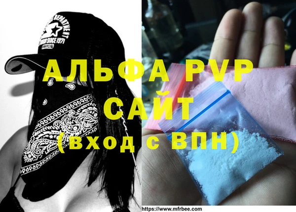 дживик Ельня
