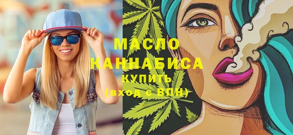 дживик Ельня
