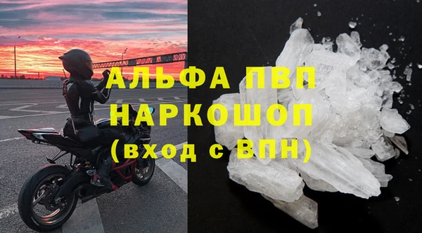 стаф Елизово