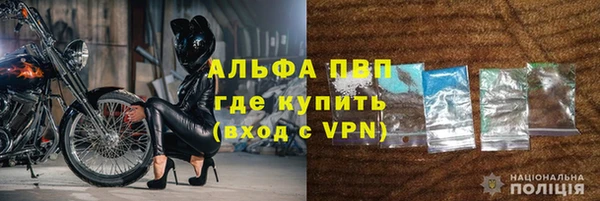 стаф Елизово