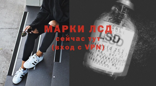 дживик Ельня
