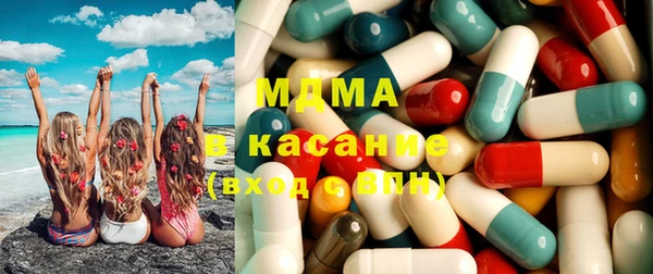 дживик Ельня