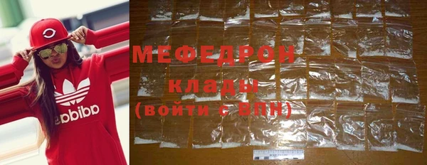 дживик Ельня