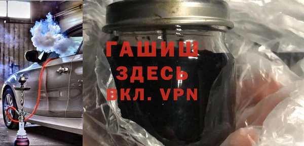 дживик Ельня