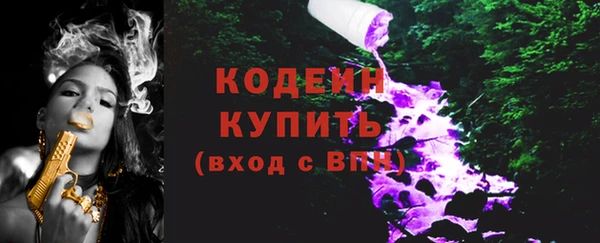стаф Елизово
